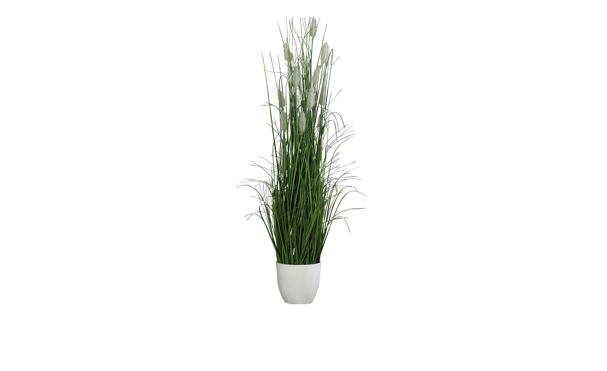 Gras 130 cm in grün mit weißen Applikationen und Untertopf.