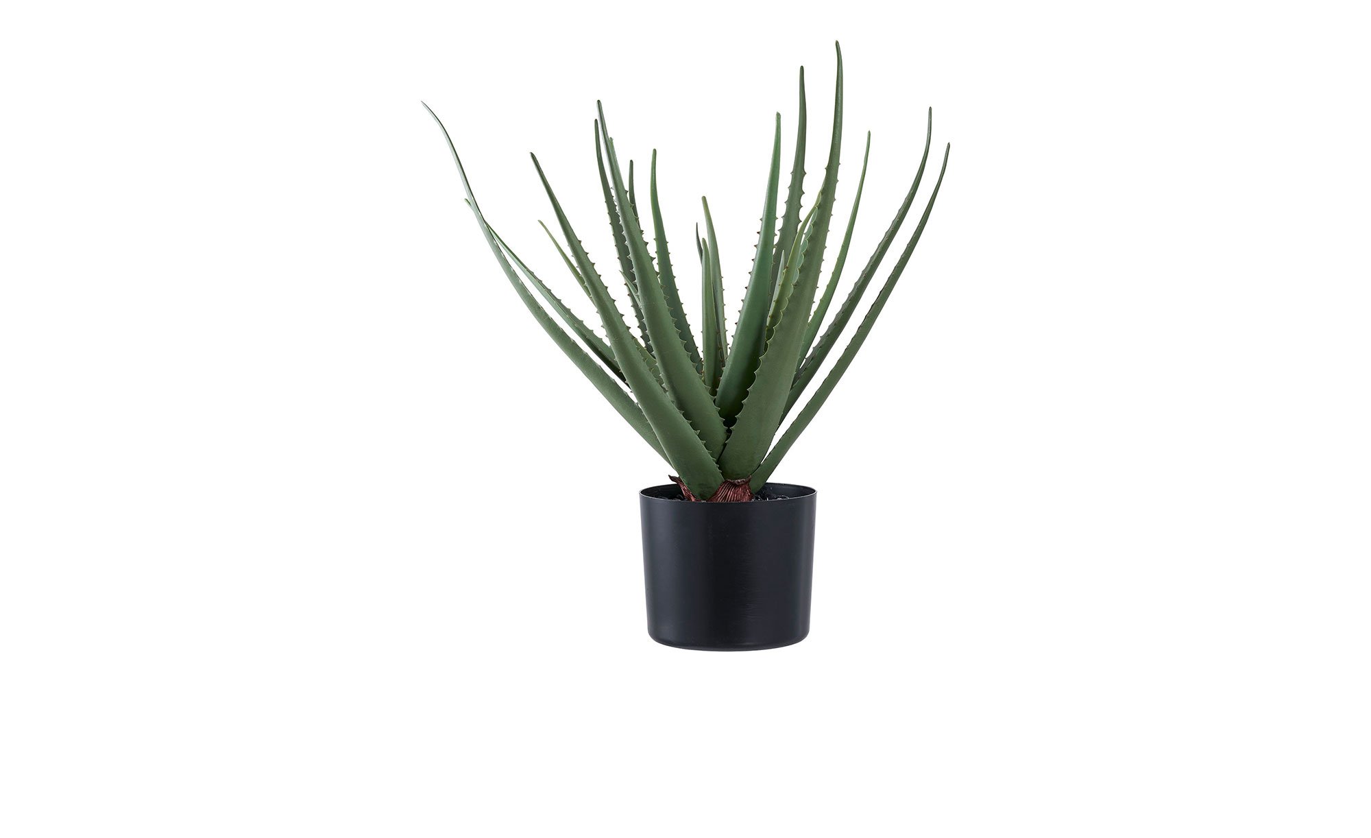 Aloe Vera Kunstpflanze Nilla bei Mbel Heinrich online entdecken