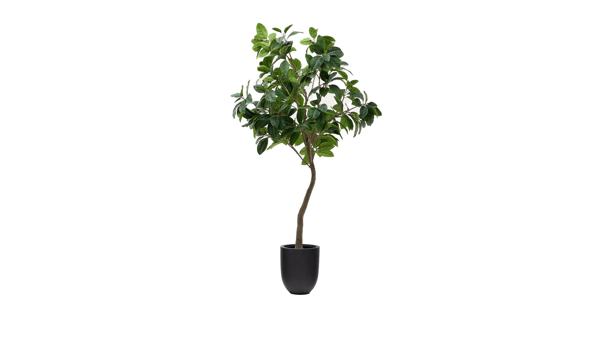 Kunstbaum Ficus von Kave Home in naturgetreuer Optik für indoor und outdoor
