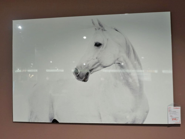 Bild "White Horse"