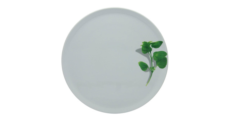 Der Creatable Pizzateller Europa 33 cm ist ein weißer Porzellanteller mit einem grünen Basilikumzweig auf der rechten Seite.