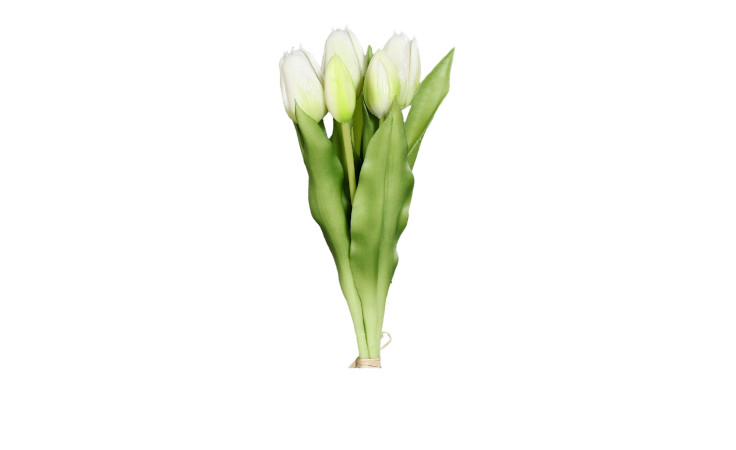 Der Tulpenbund 31 cm zeigt kleine cremefarbene Tulpen mit grünen Blättern, die mit einer Schnur gebunden sind, auf einem weißen Hintergrund.