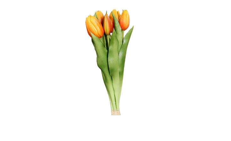 Ein 31 cm großer Tulpenbund aus orangefarbenen Tulpen mit grünen Blättern, Stiele gebunden, auf weißem Kunststoffgrund.