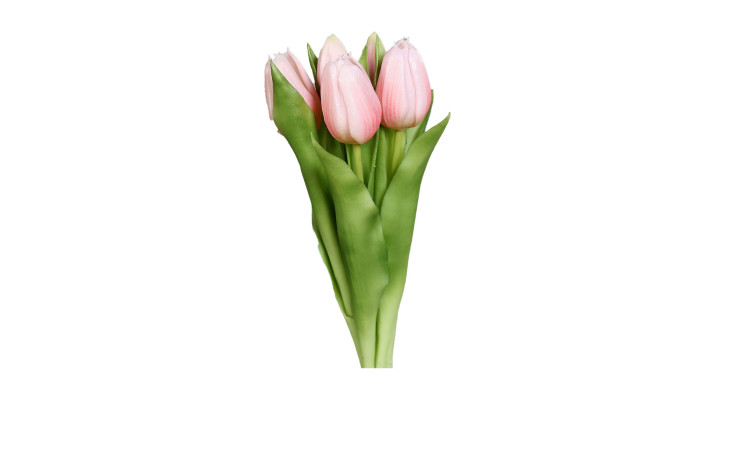 Ein kleiner Strauß von drei rosa Tulpen mit grünen Blättern in einer 16 cm Vase, Tulpen Bund 31 cm.