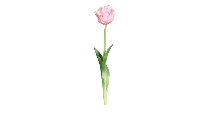 Tulpe 45 cm in Pink