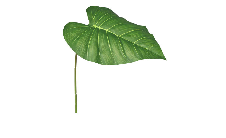 Philodendron-Blatt 63 cm aus Kunststoff in grün.