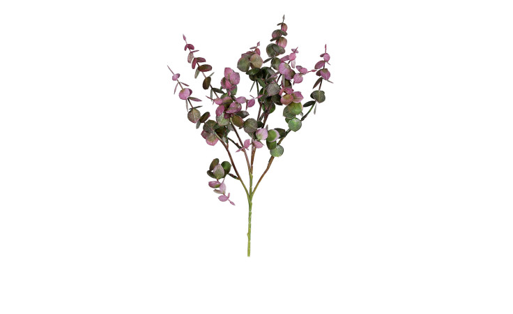 DPI Eukalyptus 53 cm mit grünen und lilafarbenen Blättern auf dünnen Stielen, isoliert auf weißem Hintergrund.