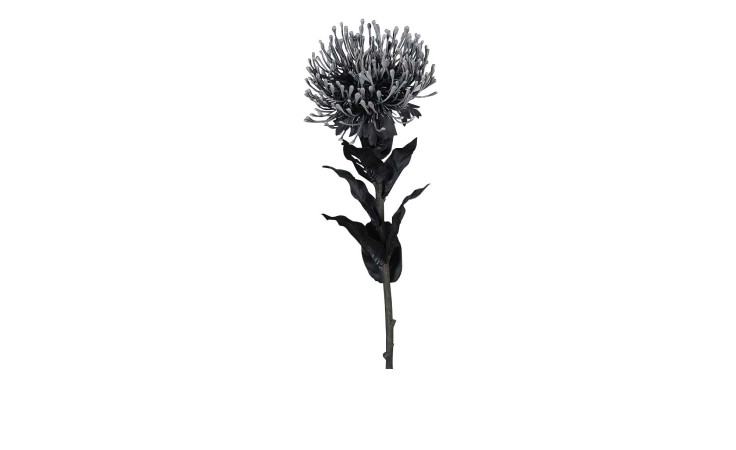 Protea 74 cm aus Kunststoff mit schwarzem Stiel, Blätter und Blüte.