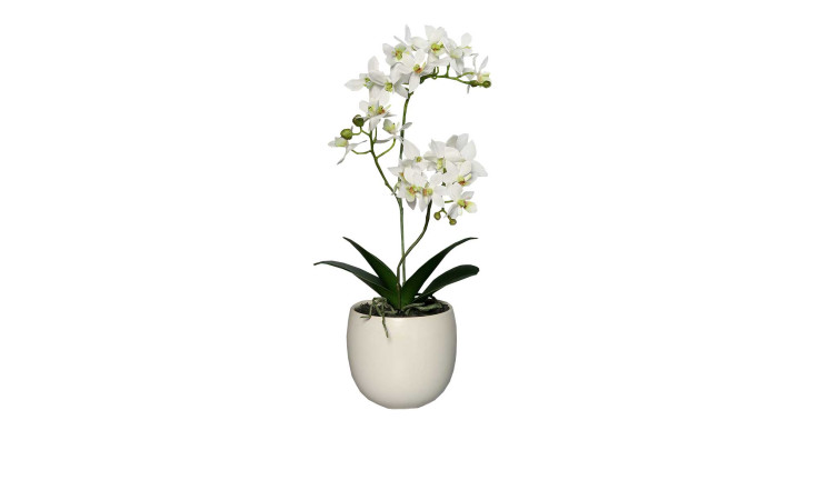 Orchidee 36 cm aus Kunststoff mit grünen Stiel und Blätter und weißen Blüten und Untertopf.