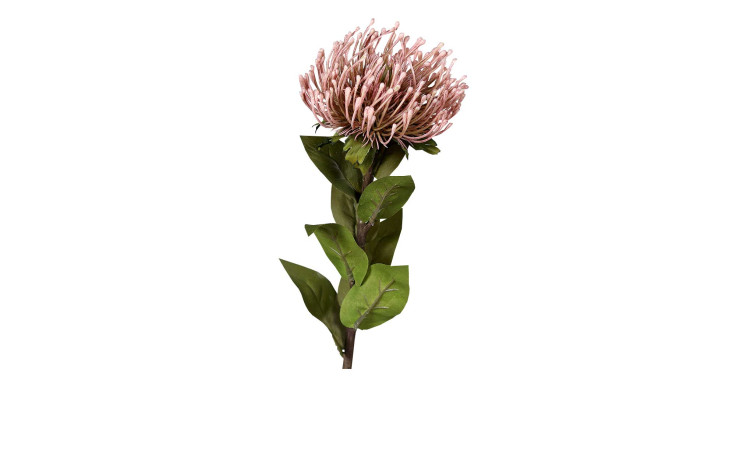 Protea 74 cm aus Kunststoff mit grünen Stiel und Blätter und rosa Blüte.