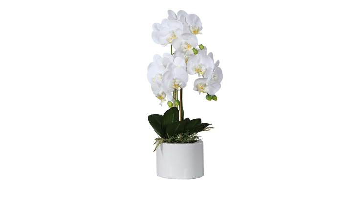 Orchidee-Phalaenopsis 55 cm aus Kunststoff mit weißen Blüten und Untertopf und grünen Stiel und Blätter.