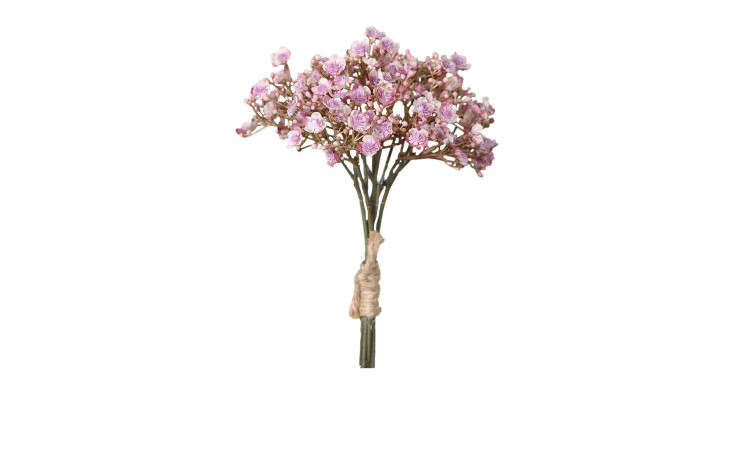 Der DPI Schleierkrautbund 30 cm ist ein kleiner rosa Schleierkrautstrauß, der mit Schnur gebunden ist, isoliert auf weiß.