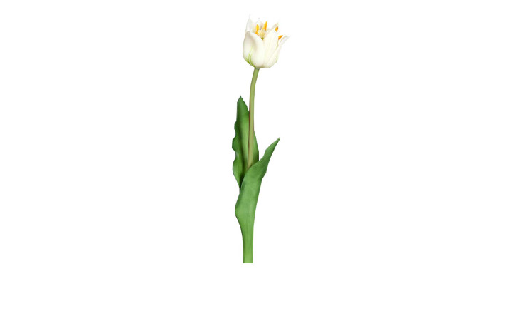 Tulpe 48 cm aus Kunststoff und Polyurethan mit einer weißen Blüte und grünen Stiel und Blätter.