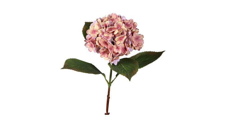 Hortensie 52 cm in Rosa