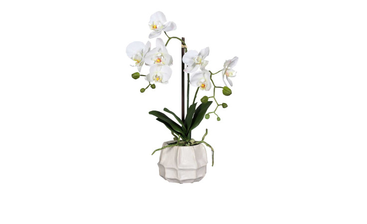 Orchidee 48 cm in weiß