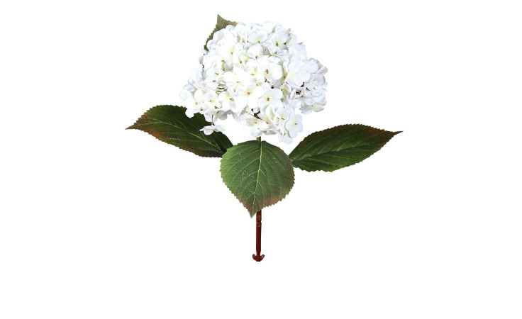 Hortensie 52 cm mit weißen Blüten und grünen Steil und Blätter aus Kunststoff.