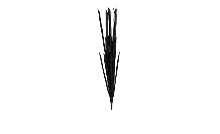 Alge 100 cm: Lange, dünne schwarze Kunststoffstäbchen, aufrecht in Fächerform auf weißem Hintergrund.