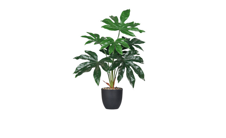 Die Rizinus 60 cm ist eine Kunstsoff-Topfpflanze mit großen, glänzend grünen Blättern in einem schwarzen Topf auf weißem Grund.