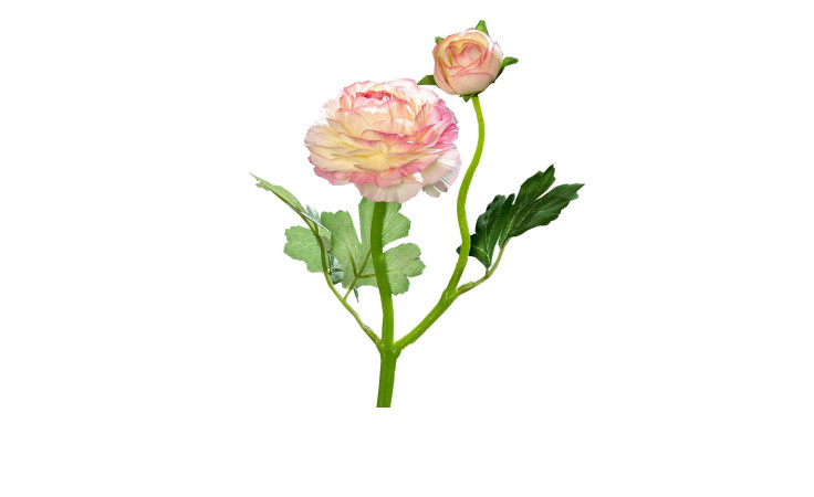 Ranunkel 37 cm aus Kunststoff mit zwei pink / weißen Blüten und grünen Stiel und Blätter.