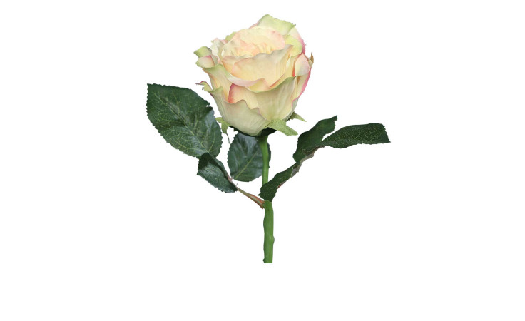 Rose 31 cm aus Kunststoff in creme mit grünen Stiel und Blätter.