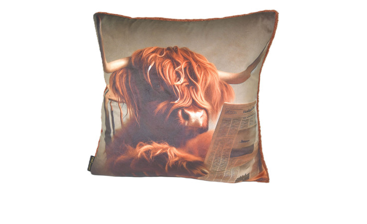 Die Kissenhülle El Toro 45 x 45 cm bringt mit einer Hochlandkuh und einer Zeitung skurrilen Charme in Ihren Raum.