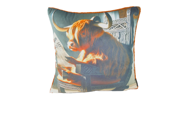 Bunte Kissenhülle El Toro 45x45 cm mit Highland-Kuh, die Zeitung auf einem Stuhl liest, aus Synthetikfaser.