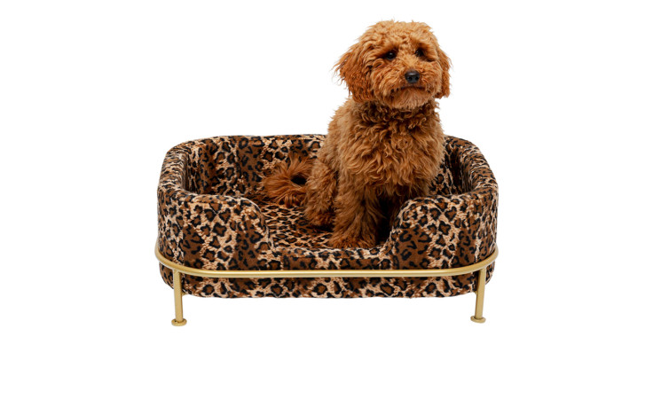 Hund / Katzenbett Dogbed 63 x 44 cm in Leoparden-Optik