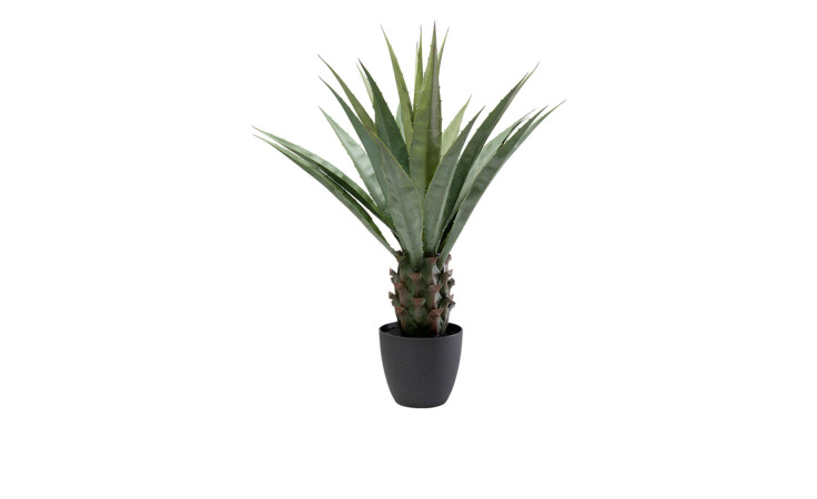 Deko-Pflanze 85 cm hoch
