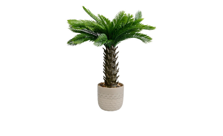 Die Kare Deko-Pflanze Cycas 70 cm hat einen strukturierten Stamm in einem hellen Topf in Flechtoptik, isoliert auf Weiß.