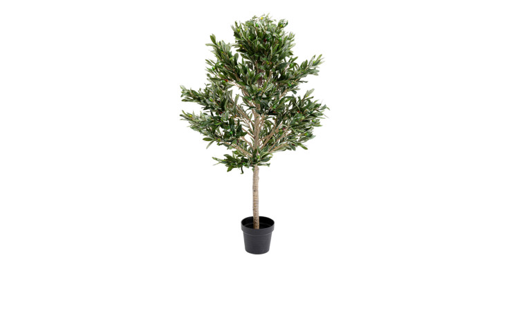 Der Kare Deko-Pflanze Olivenbaum hat einen schlanken Stamm und dichte Blätter vor einem weißen Hintergrund.