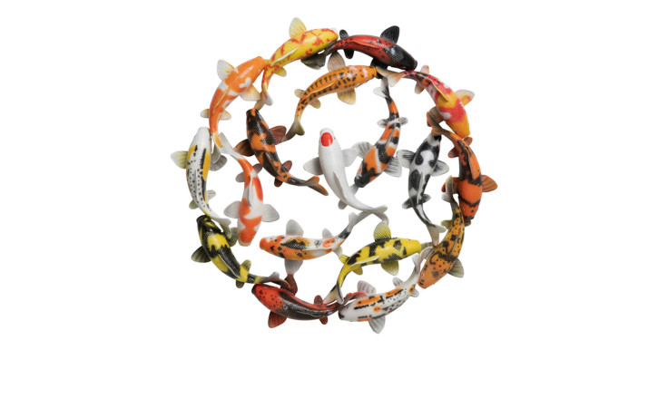 Wandobjekt Fishschool 101,5 cm in einer bunten Ausführung