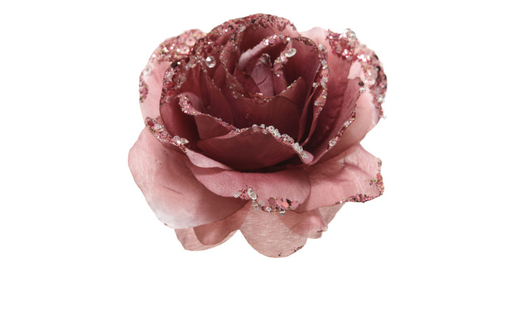 Klipp-Rose 14 cm
