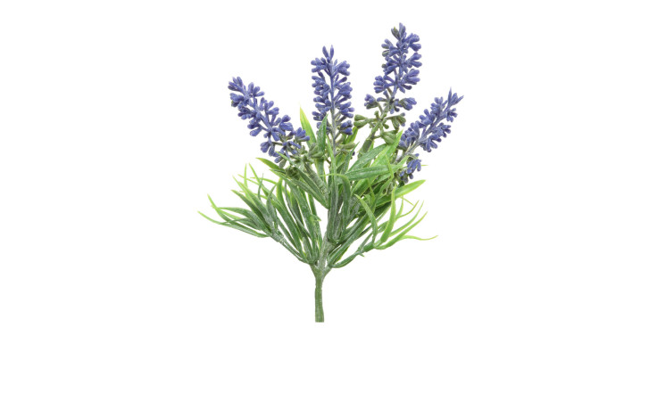 Lavendel-Zweig