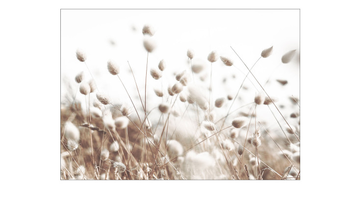 Alubild Field Flowers 70 x 100 cm, Pflanzen