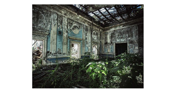 Glasbild Lost Space 60 x 80 cm, Lost Place mit Pflanzen