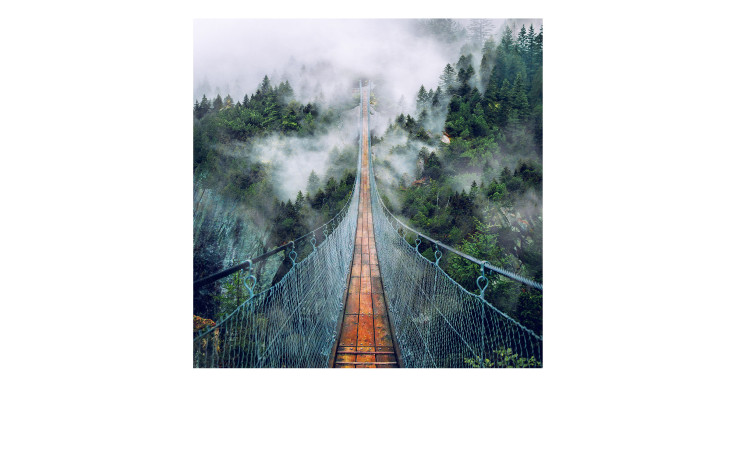 Glasbild Suspension Bridge 50 x 50 cm Brücke, der in den Wald führt