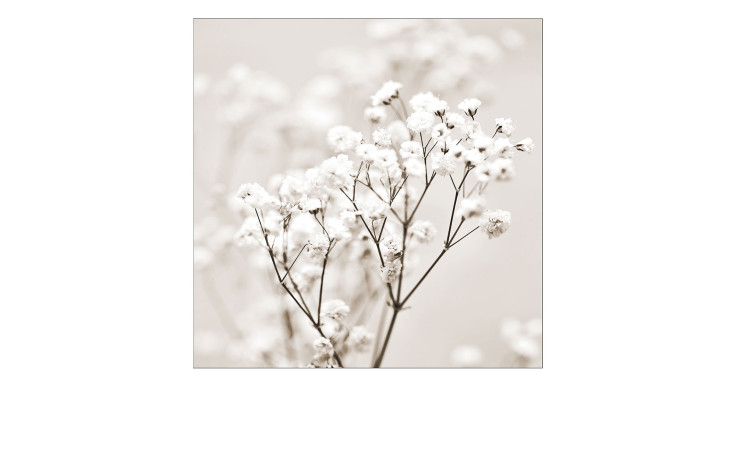 Glasbild Meadow Flowers 30 x 30 cm. Glasbild mit dem Thema - Blumen.