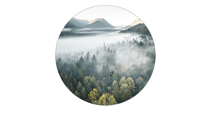 Glasbild Misty Valley mit 20 cm Durchmesser. Glasbild mit dem Thema - Wald.