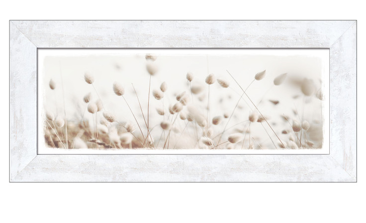 Rahmenbild Dried Fiber in the Wind 44 x 94 cm. Rahmenbild mit dem Thema - Natur.