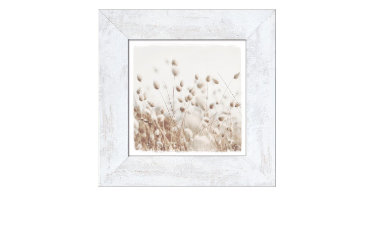 Framed-Art Dried Fiber in the Wind 44 x 44 cm. Rahmenbild mit dem Thema - Natur.