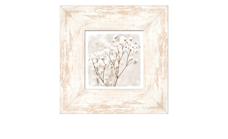 Rahmenbild Dried Fiber in the Wind 34 x 34 cm. Rahmenbild mit dem Thema - Blumen.