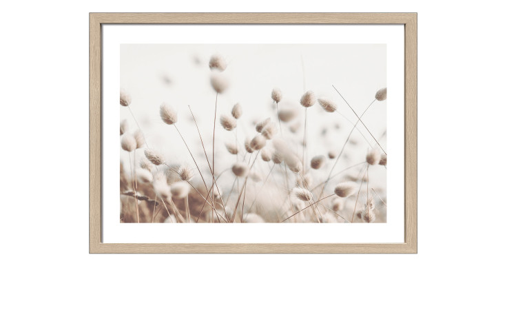 Rahmenbild Dried Fiber in the Wind 55 x 75 cm. Rahmenbild mit dem Thema - Natur.