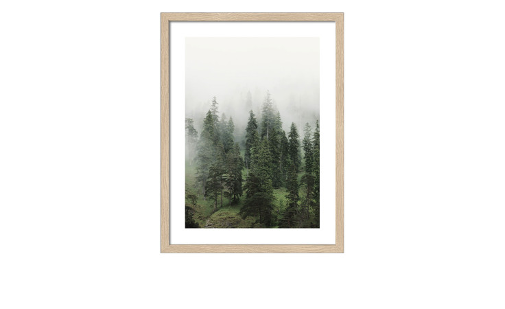 Pro-Art Rahmenbild Foggy Trees 33 x 43 cm: nebliger Walddruck im Holzoptik-Rahmen mit Glas.