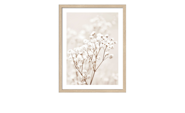 Pro-Art Rahmenbild Getrocknete Fasern im Wind 33 x 43 cm: gerahmtes Foto von zarten weißen Blumen auf weichem Hintergrund.