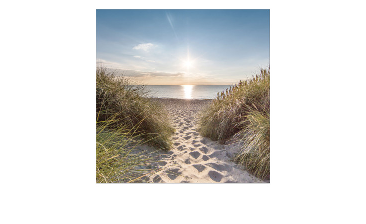 Ein sandiger Weg durch hohes Gras führt zu einem ruhigen Strand mit Pro-Art Leinwandbild Nordsee 30x30 cm am Horizont.