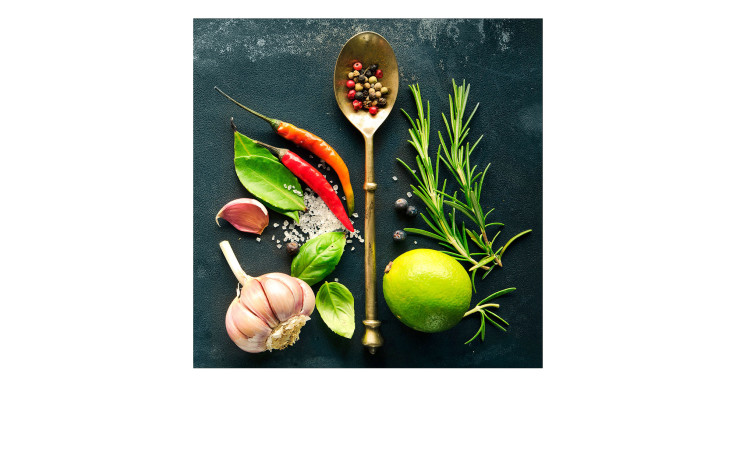 Das Pro-Art Leinwandbild Vintage Herbage 30 x 30 cm zeigt bunte Kräuter - ideal als stilvolle Wanddekoration.