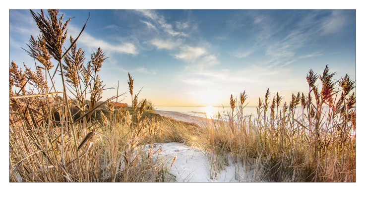 Mehrfarbiges Alubild Wilder Strand 100 x 200 cm von Pro-Art: Dünen, Meer und blauer Himmel mit Wolken.