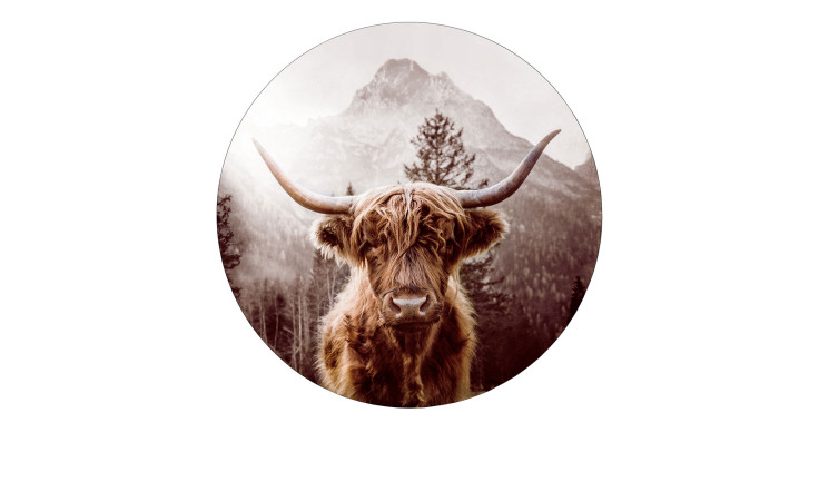 Ein Pro-Art Alubild Schottisches Hochlandrind 100 cm zeigt eine langhörnige Kuh vor Bäumen und Bergen in einem Metallrahmen.