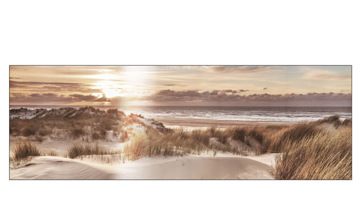 Pro-Art Alubild Beach a Sunrise 50x150cm zeigt Dünen, hohes Gras und einen Sonnenaufgang über dem Meer unter einem bewölkten Himmel.