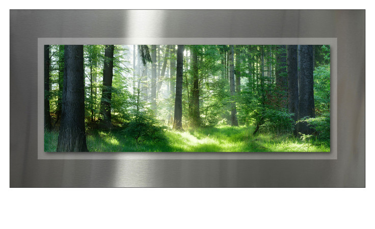 Pro-Art Alubild Mystic Forest 50x100 cm: ein sonnenbeschienener grüner Wald auf gebürstetem Metallhintergrund.